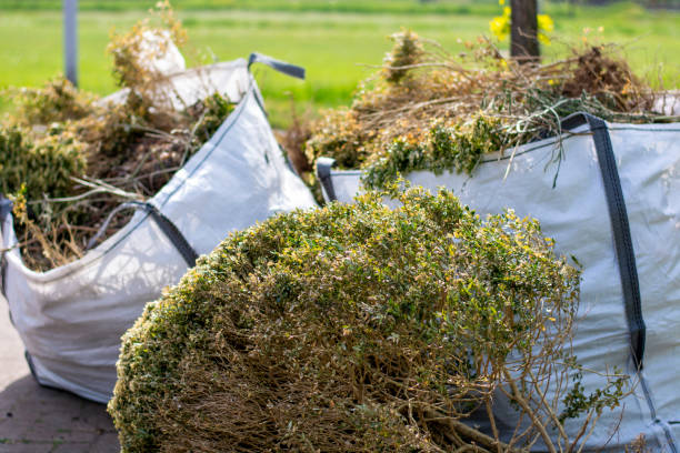 Best Office Junk Removal  in Carbondale, KS
